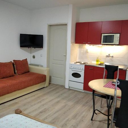 Apartman 4 - Studio Janja Сокобаня Экстерьер фото