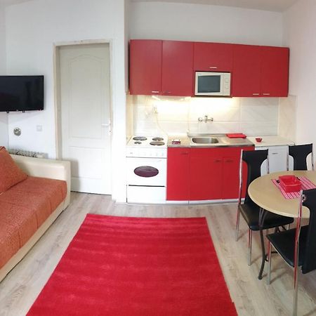 Apartman 4 - Studio Janja Сокобаня Экстерьер фото