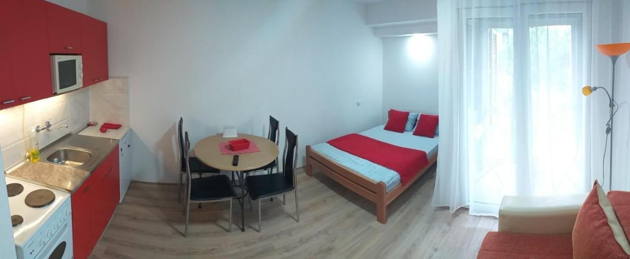 Apartman 4 - Studio Janja Сокобаня Экстерьер фото