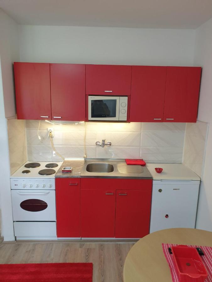 Apartman 4 - Studio Janja Сокобаня Экстерьер фото