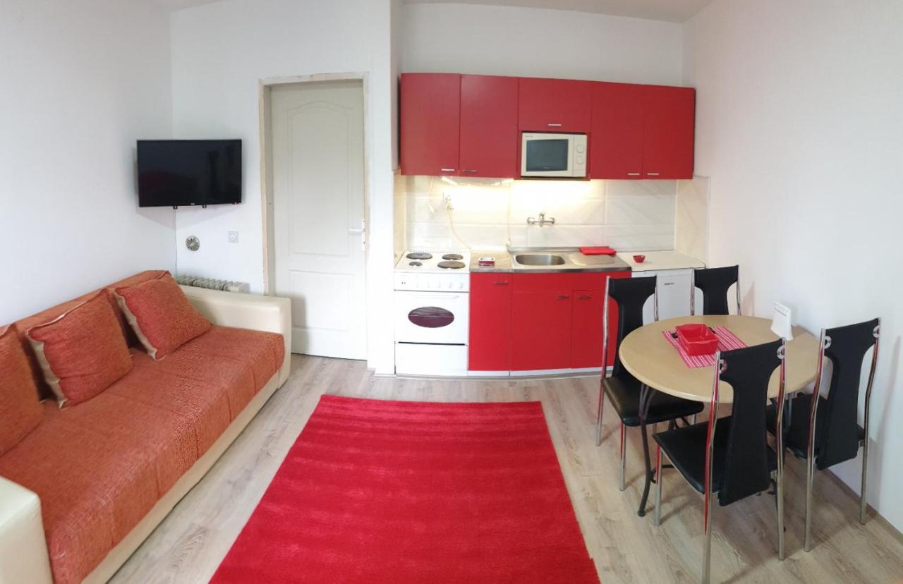 Apartman 4 - Studio Janja Сокобаня Экстерьер фото
